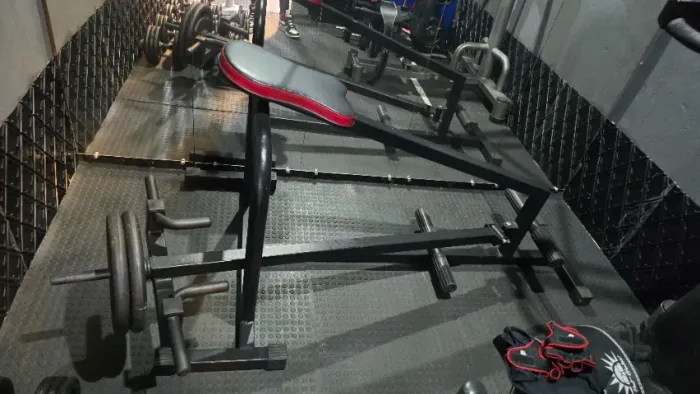 Remada Cavavinho Aparelho Academia Musculação