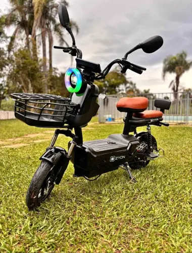 Motinha elétrica scooter 600w