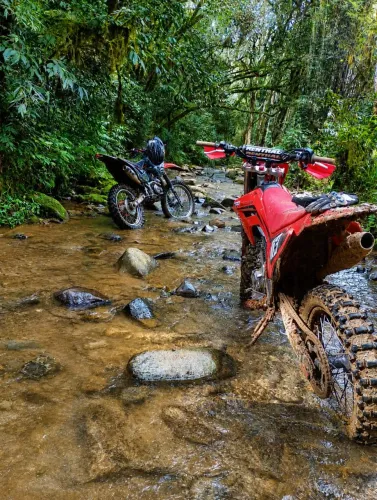 CRF 250f