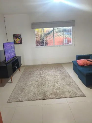Tapete 3X2 250 reais