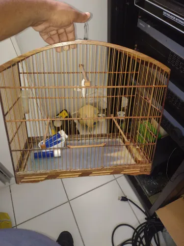 Vendo gaiola de passarinho semi nova 