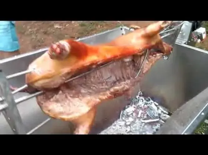 Porco no rolete máquina 