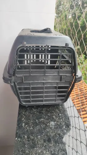 Transportadora de animal