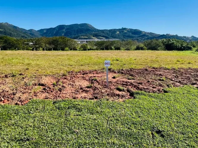 Imóvel para venda com 858 metros quadrados em Vila Santana - Santo Amaro da Imperatriz - S