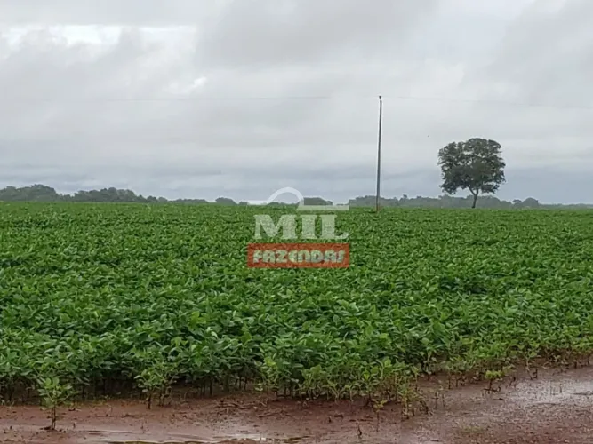 Fazenda em Araguaçu-TO
