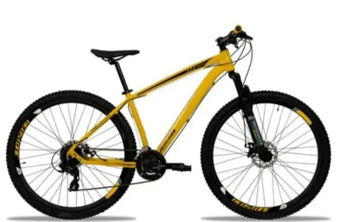Bicicleta mountain bike