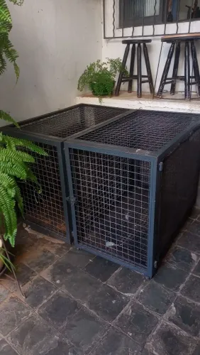 Gaiola para transporte com rodas 80x60x100