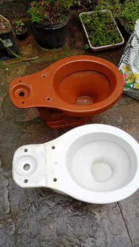 Vasos sanitários em perfeito estado