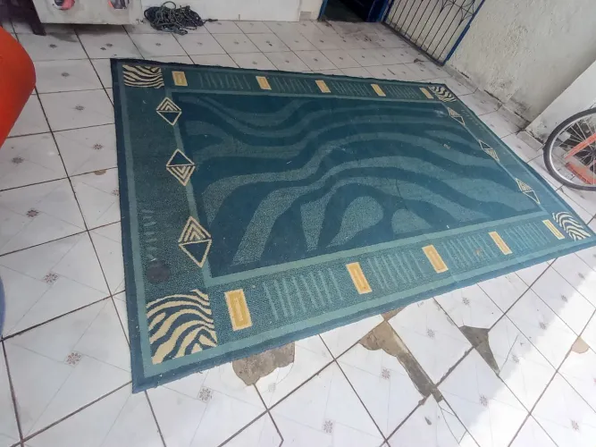 Tapete grande 3x1.95