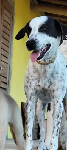 Doação 