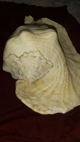 Decoração