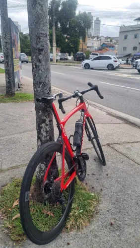 Pinarello f10 disk 