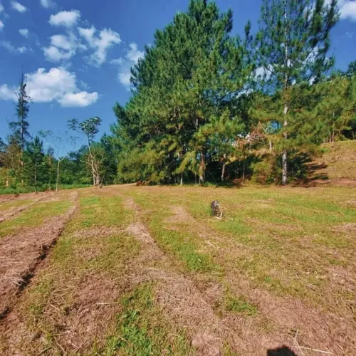 TERRENOS A PARTIR DE 79.990 EM IGARATA-SP