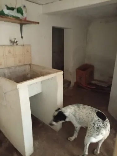 Vendo casa no vila Fátima