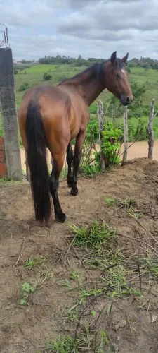 Vende-se