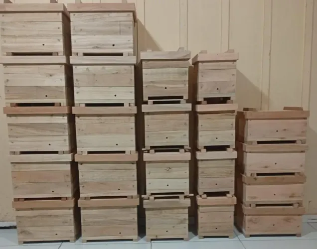 Caixa de abelha pra venda