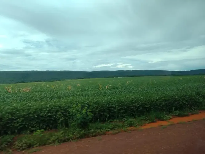 Fazenda 4.080 hec planalto da serra MT. 3 mil abertos, plantando 2 mil este ano