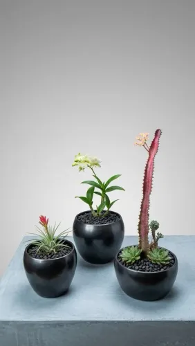 Conjunto de vasos decorativos em cor chumbo
