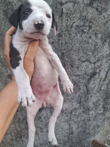 Doação 