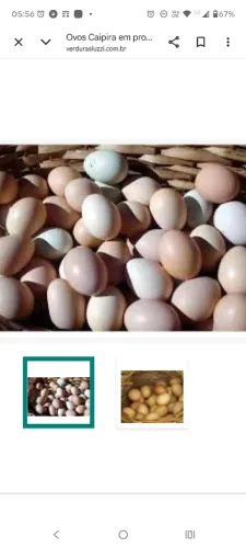 Ovos caipira 