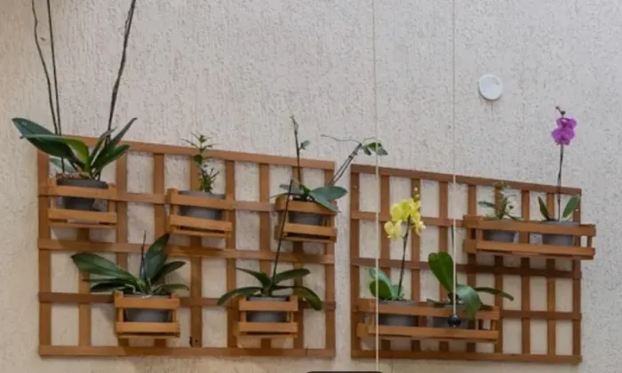 Jardim vertical de madeira (conjunto completo de 2 treliças de parede + cachepôs)