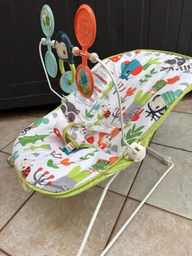 Cadeira bebê descanso fisher price