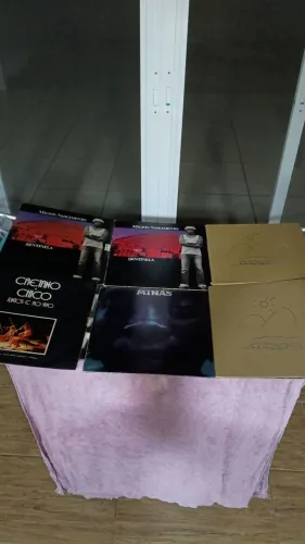 Lote de discos de vinil