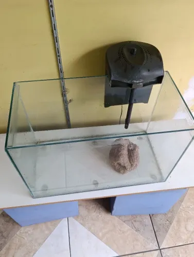 Aquário 60l com filtro externo