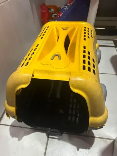 Caixa para transporte de cachorro