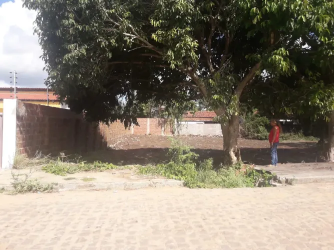 Terreno em Jacumã 15x30 em rua calçada