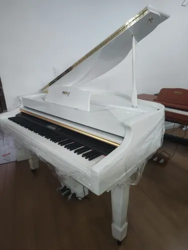 piano cauda digital 