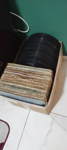 Lote de discos de vinil, 160 sem capa e mais de 60 com capa , estavam guardados a 20 anos