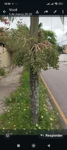 Terreno esquina