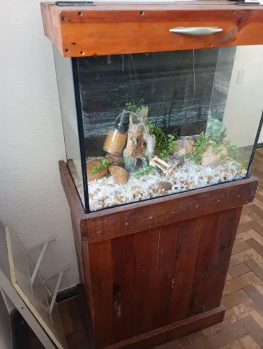 Aquário çom móvel 60 x 48 x 30m, com cascalhos enfeites pedras decorativas e bomba