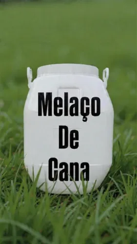 Melaço de cana 