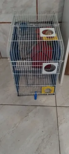 Doação de Gaiola para Hamster 