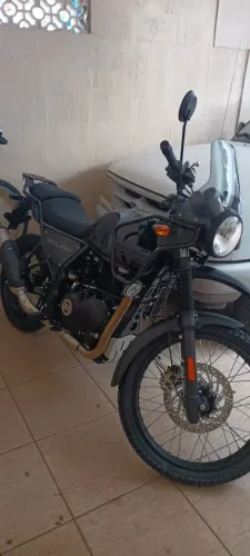 Himalayan super nova e bem conservada
