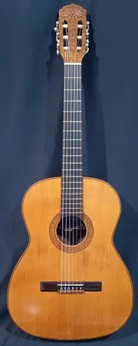 Violão Giannini (1980) - clássico, cordas de nylon Ernie Ball novas