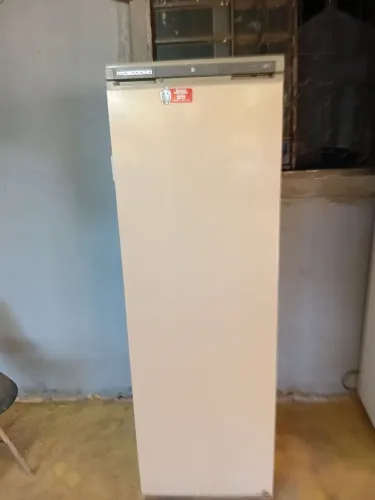 Freezer Vertical Eletrolux Prosdocimo Luxo 7 Gavetas Beje Funcionamento Excelente