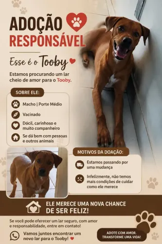 Doação 