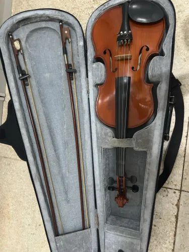Violino