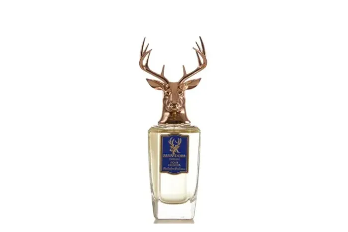 Perfume panadora aqua de dora masculino 100ml
