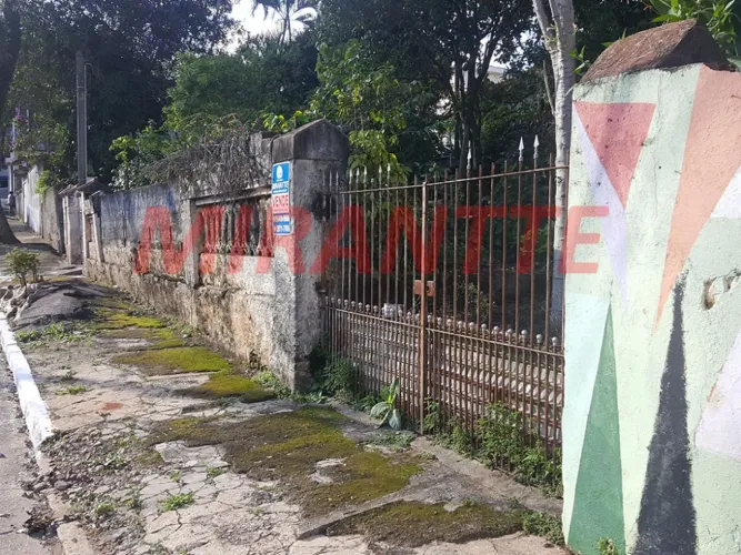 Terreno em Vila Barreto