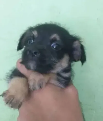 doação responsável