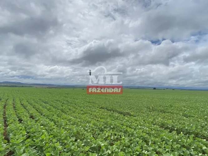 Fazenda agrícola no sudeste goiano