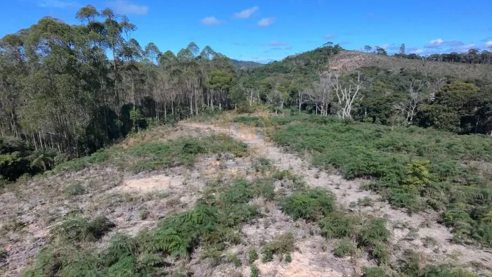 Terreno com 10 Mil Metros à Venda em Domingos Martins