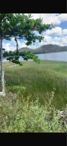 Terreno 