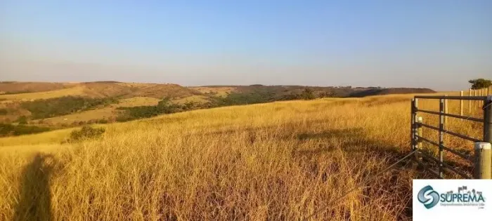 VENDO LINDA FAZENDA EM COCALZINHO-GO 58,5 HECTARES TODA FORMADA RICA EM ÁGUA