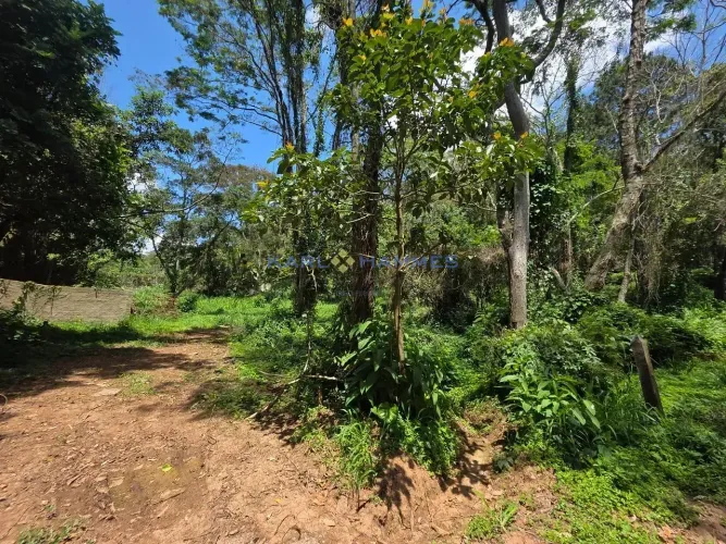 Terreno à venda, Itaipava, Petrópolis, RJ