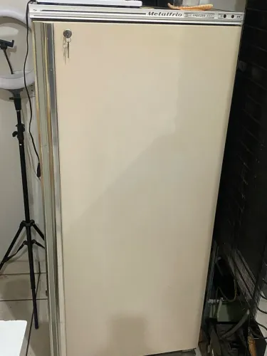 Freezer vertical